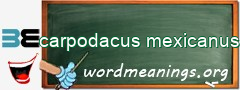 WordMeaning blackboard for carpodacus mexicanus